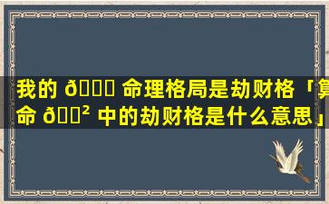 我的 🍁 命理格局是劫财格「算命 🌲 中的劫财格是什么意思」